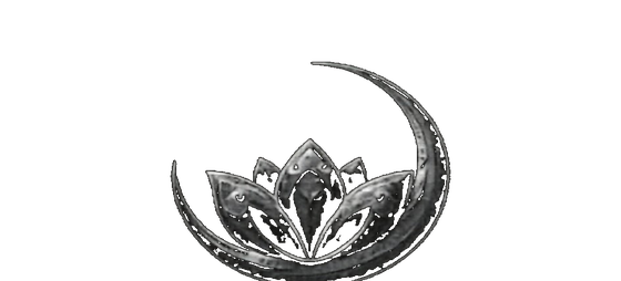 House of Ansh
